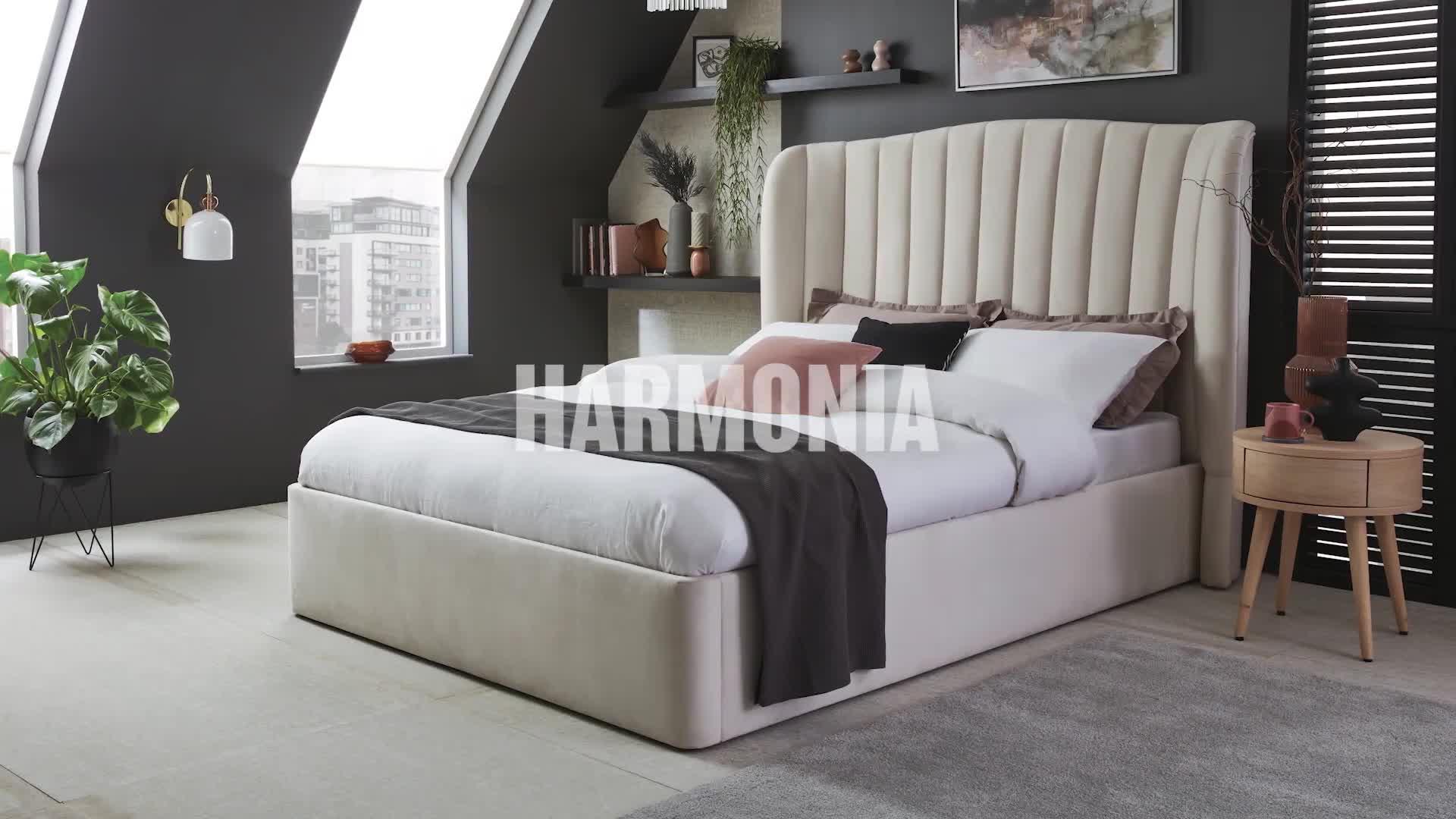 Play button for video