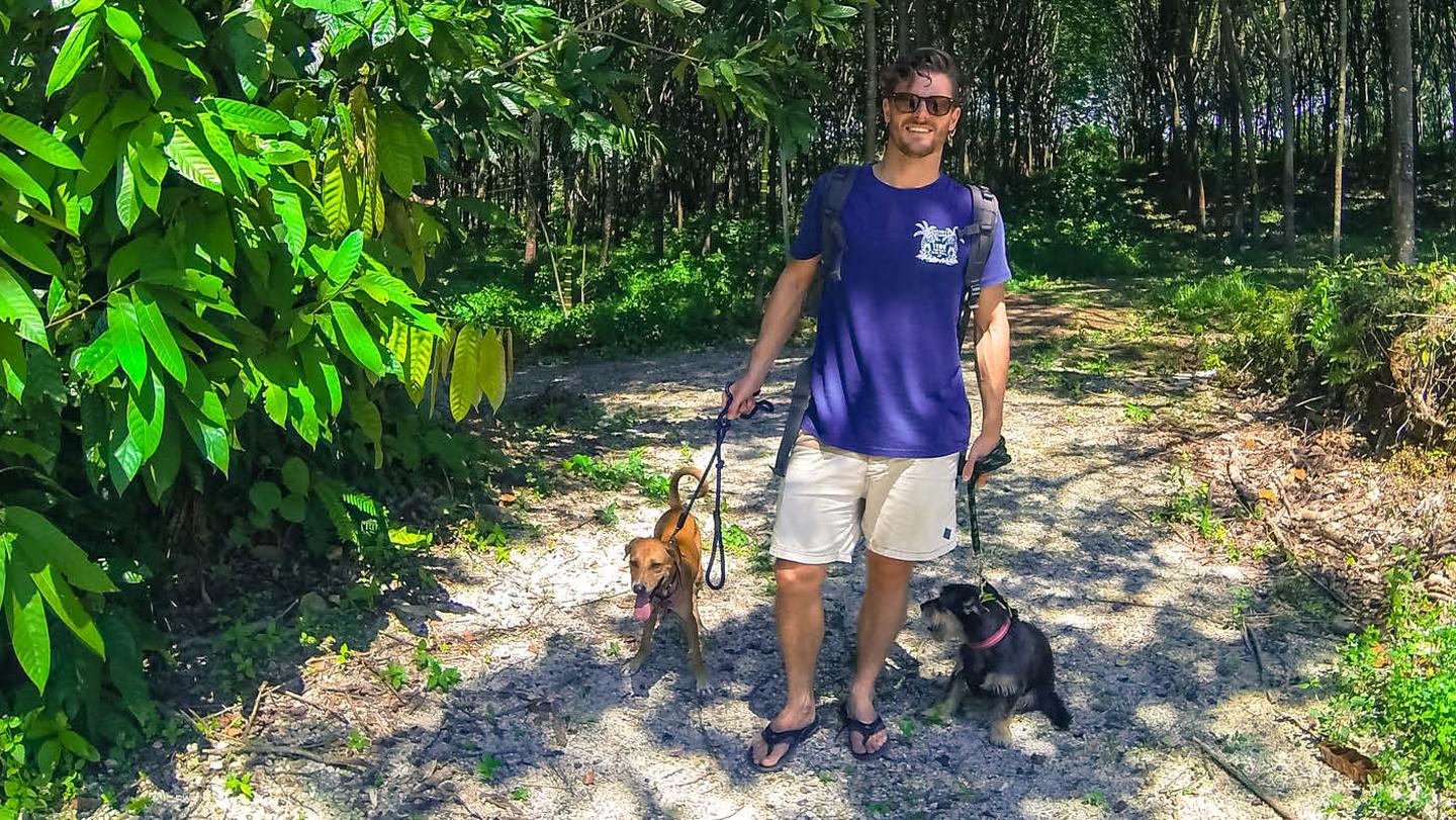 Darren from FatFace Head Office, taking two dogs for a walk who were rescued by Lanta Animal Welfare, a great charity