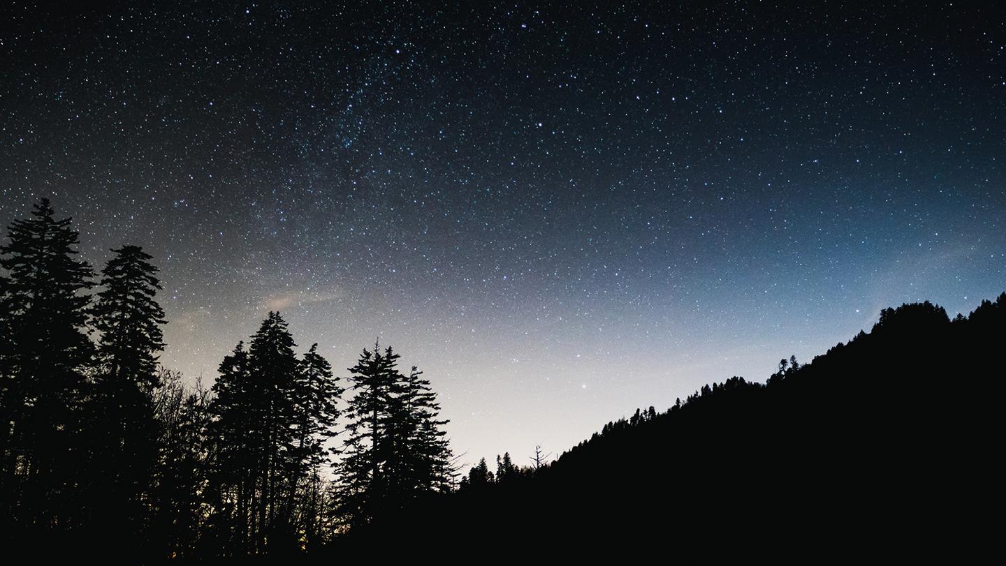 The deep black starry night sky of Kielder Forest, Northumberland