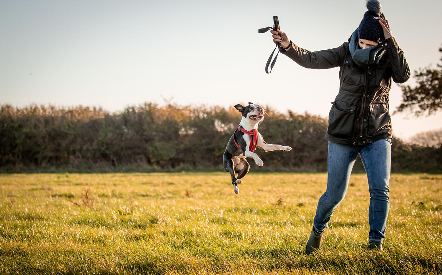 Laura, who works at FatFace HQ, wearing the Sussex Jacket while playing with her cute Boston Terrier in a local field