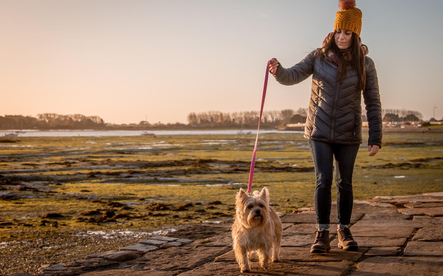 Lorna, who works at FatFace HQ, taking her Cairn Terrier for a walk on the coast wearing the Lauren Lightweight Puffer Jacket