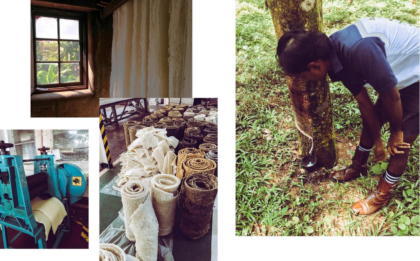 A man working at a rubber tree plantation and pure rubber being manufactured.