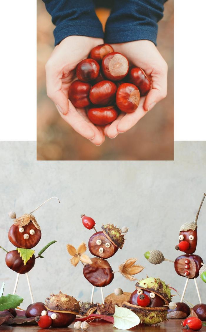 A bunch of conkers in cupped hands, and homemade conker people.