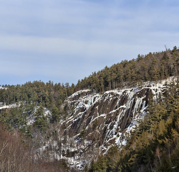 The side of a rocky cliff with a sprinkling of snow, with tall pine trees surrounding it.