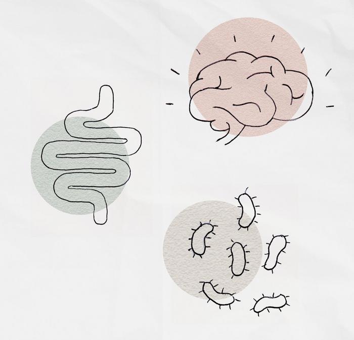 Illustrations of a brain, intestines and bacteria.