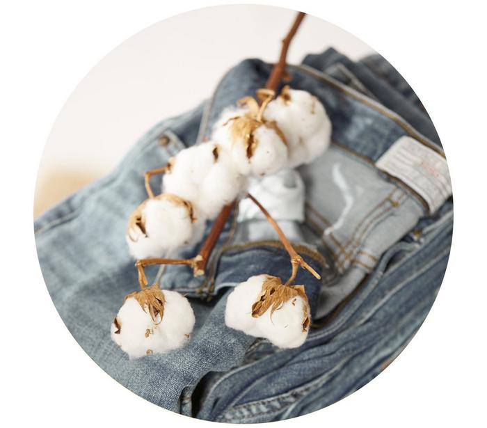 Raw cotton atop a folded pair of jeans.