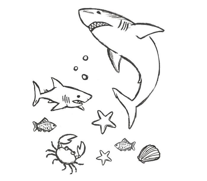 A hand-drawn sealife-themed design for colouring-in, featuring fish, sharks, starfish, a crab & a seashell.