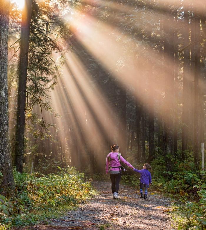 Gentle sunlight shines through the trees as a mother & daughter walk through The National Forest in the Midlands.