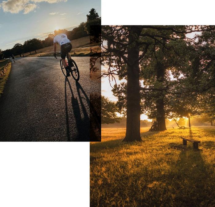 A man in cycling gear & helmet rides on a wide path through a park. The sun sets behind towering trees in grassy parkland.