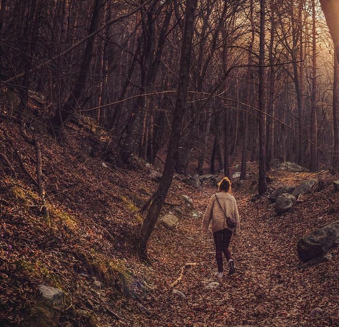 A woman wandering through barren trees & fallen leaves.