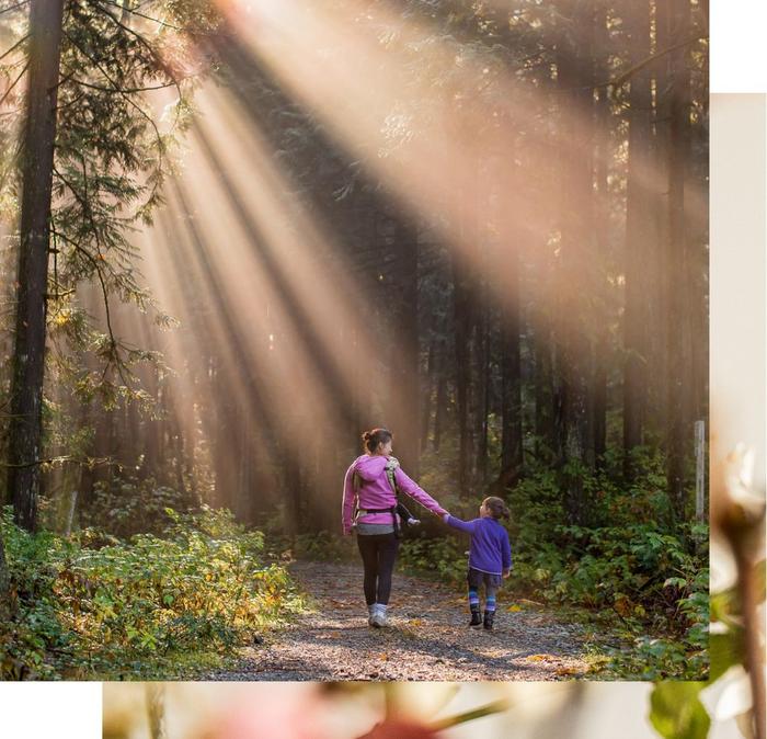 A mother taking her baby and small child for a walk through a forest, with sunlight falling through the trees.