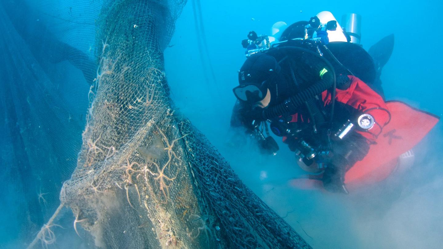 The divers removing ghost fishing nets from the ocean