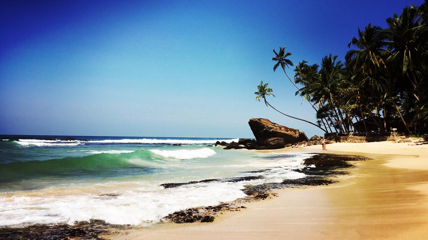 The beautiful beaches of Sri Lanka, with blue skies, sandy beaches and palm trees