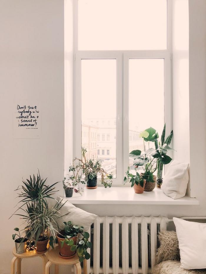 A large window letting bright light into a room, with lots of potted plants on and around the sill.