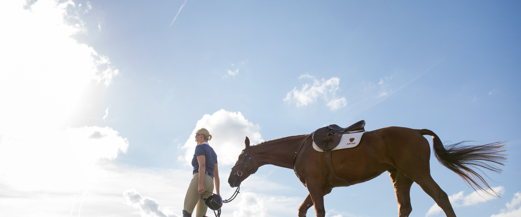 woman in Ariat English wear leading a horse against a blue sky