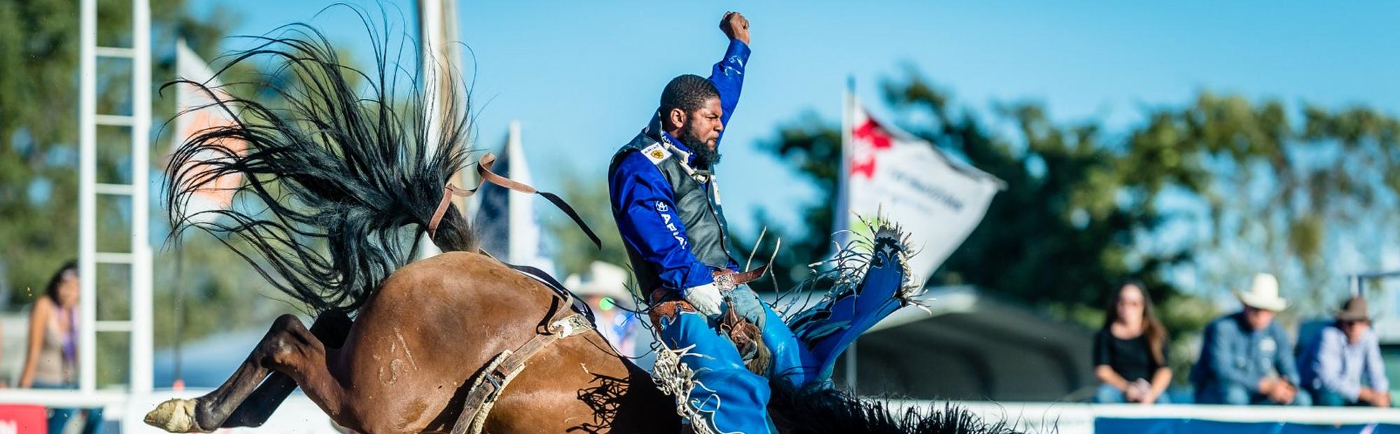 Black pride, Louis Vuitton saddles: A look into Bill Pickett Rodeo