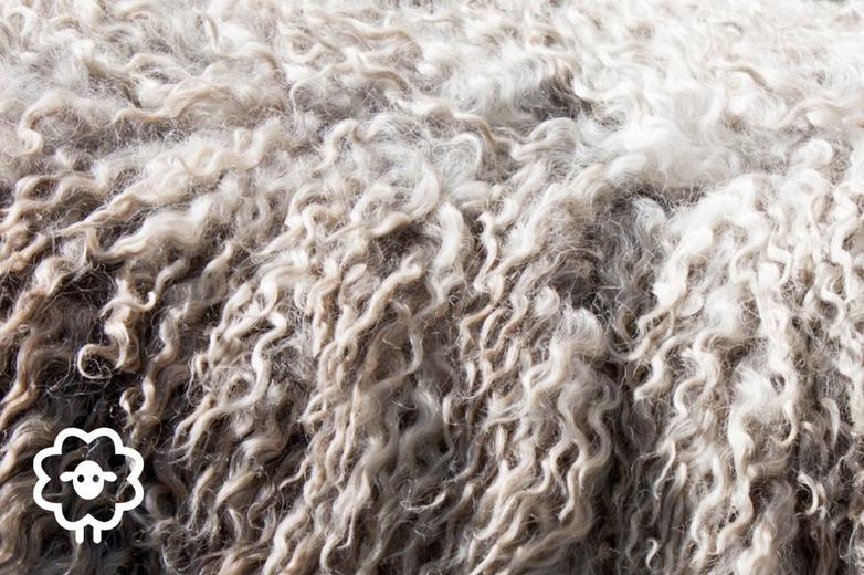 Close up of sheep wool