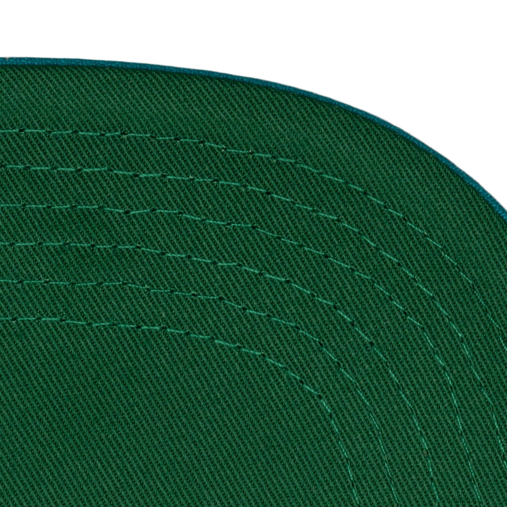 Mitchell & Ness Charlotte Hornets Big Time Pro Snapback-Blue