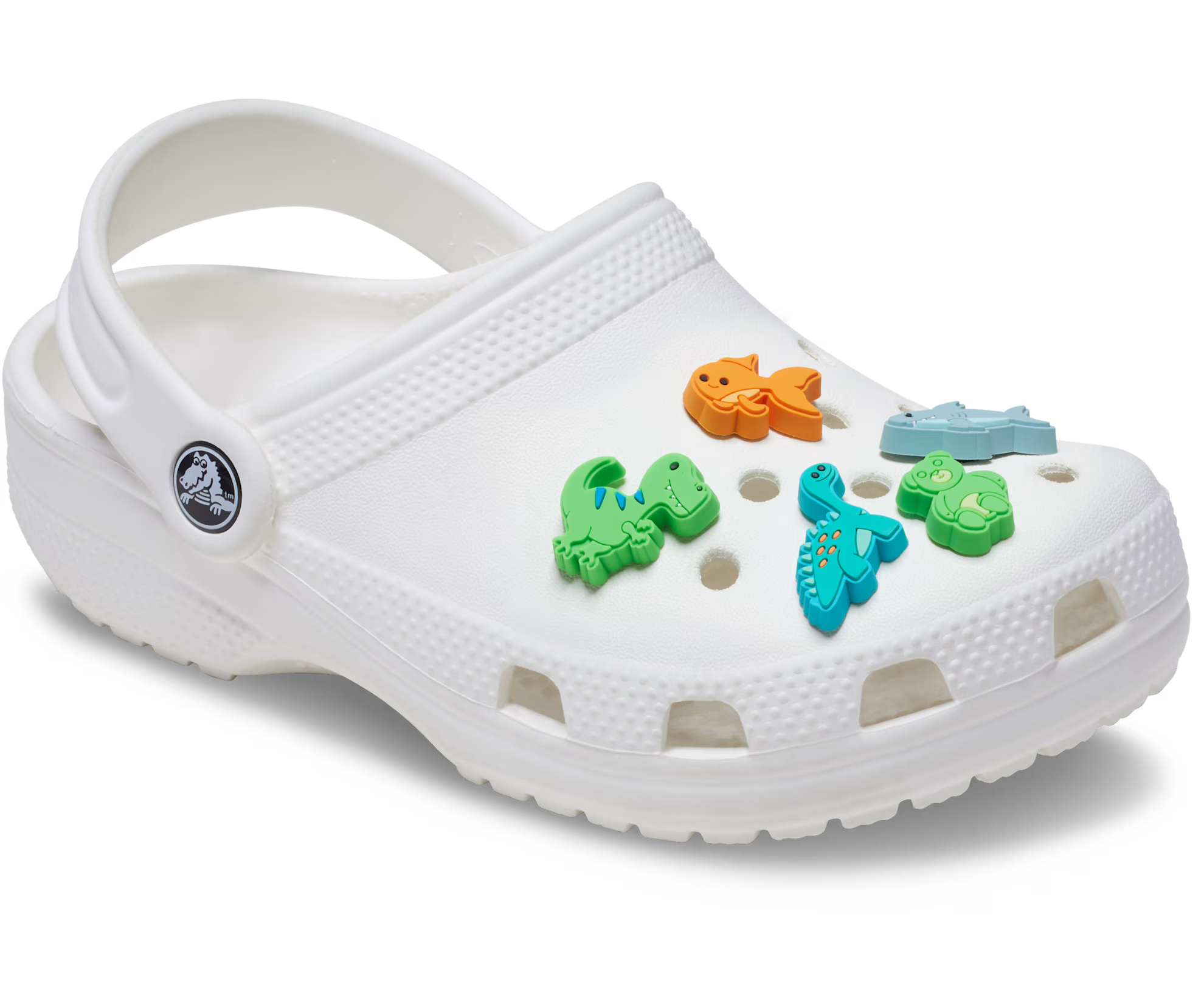 Crocs Cartoon Animal Jibbitz Charms-5PK