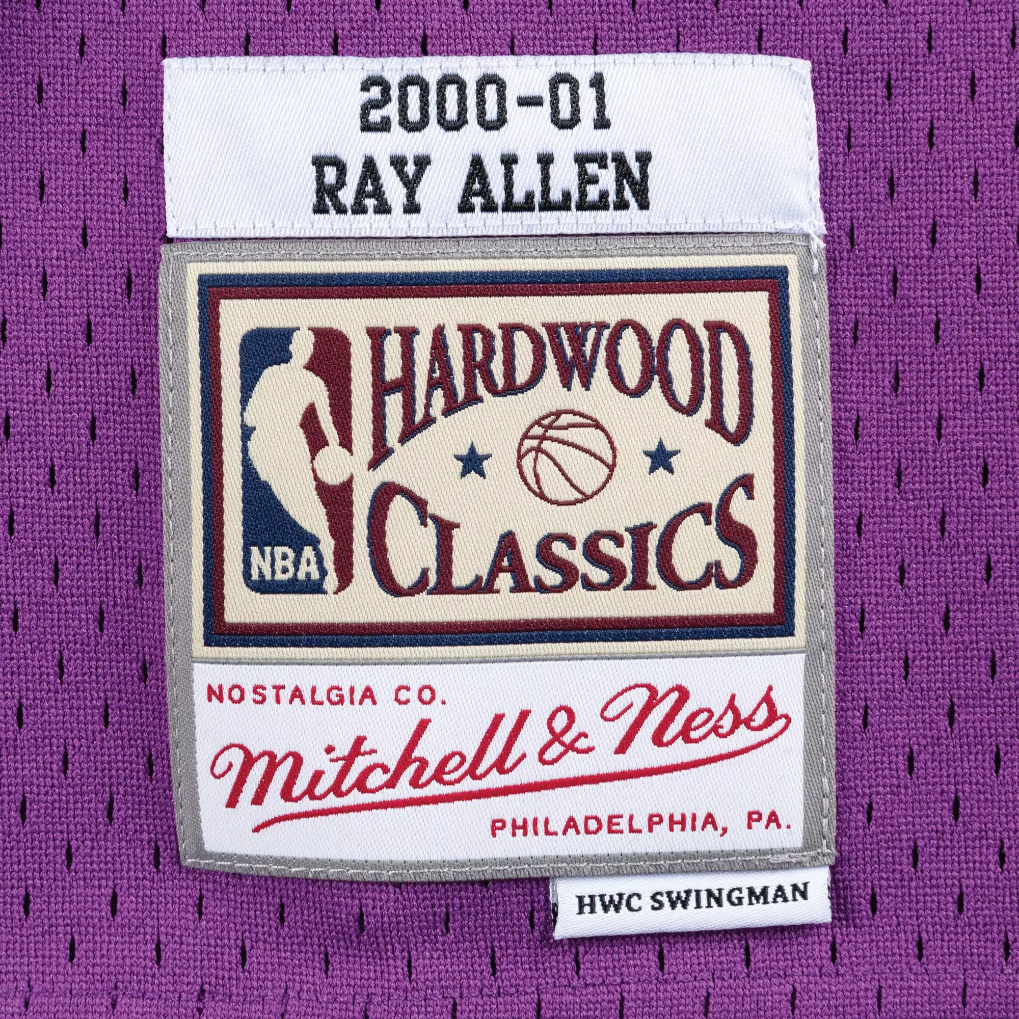 Mitchell & Ness Men's Milwaukee Bucks Ray Allen Hardwood Classic Road Jersey-Purple - PURPLE