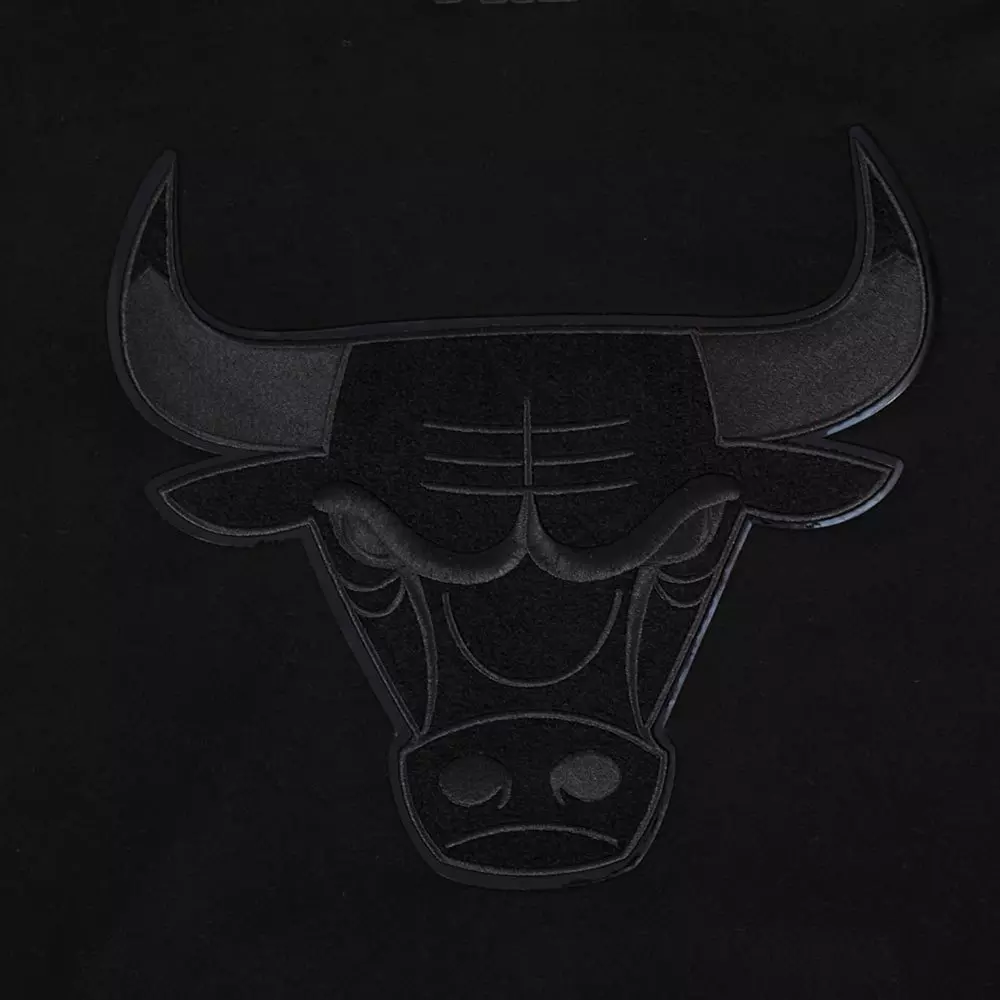 Pro Standard Men's Chicago Bulls Retro 3 "Black Cat" Hoodie-Black - BLACK