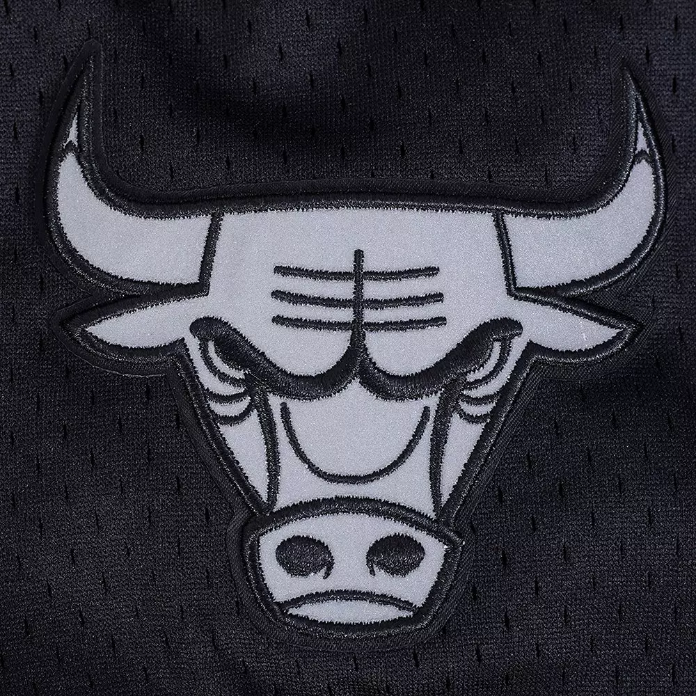 Pro Standard Men's Chicago Bulls Metallic Roses Jersey-Black - BLACK/RED/SILVER