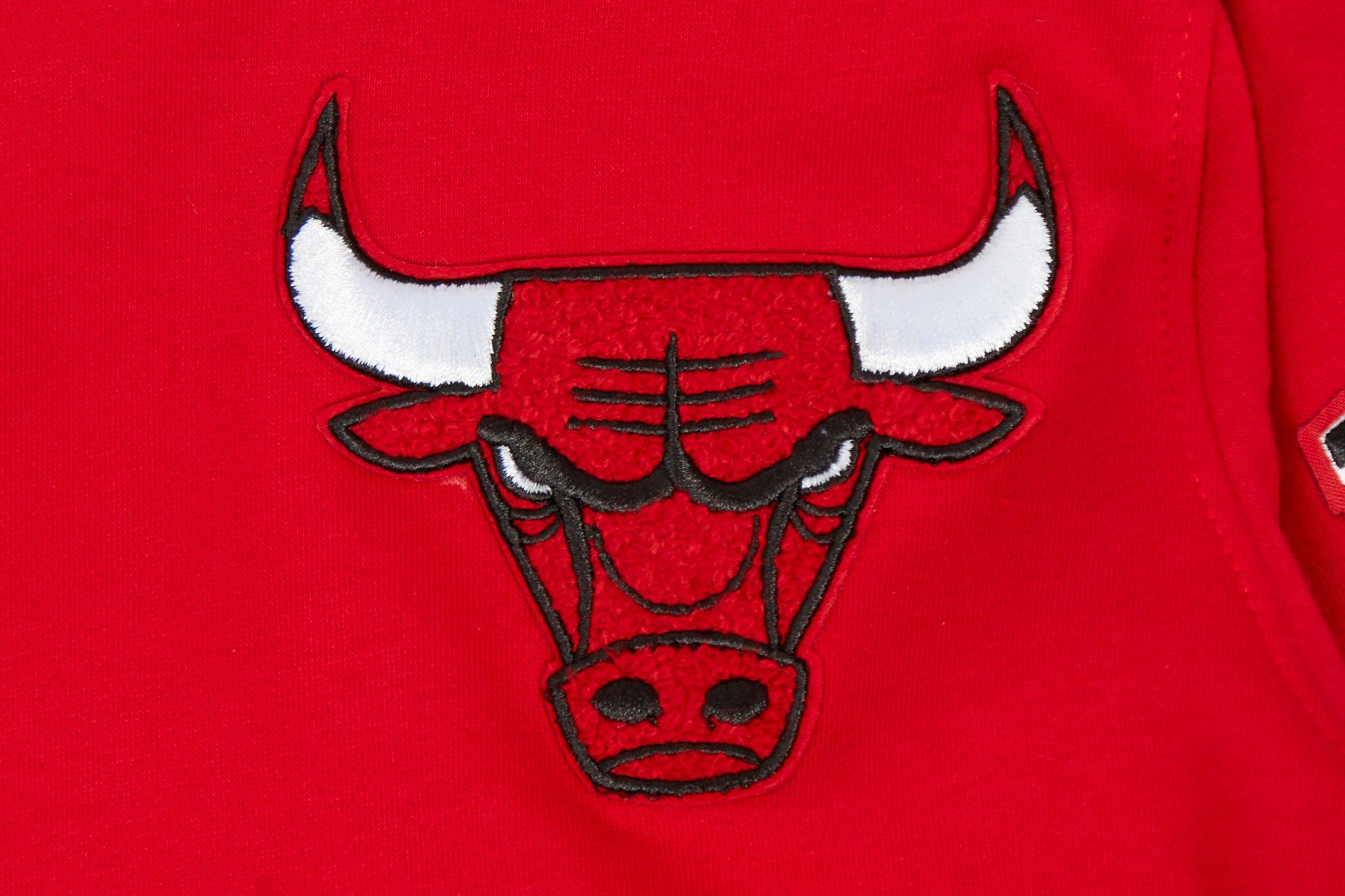 Pro Standard Chicago Bulls Classic Fleece Pullover Big Kids' Red Hoodie
