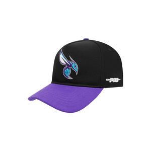 Pro Standard Charlotte Hornets Chenille Pitch Snapback Hat-Black