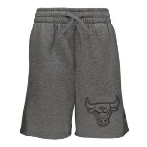 Pro Standard Youth Chicago Bulls Shorts-Grey
