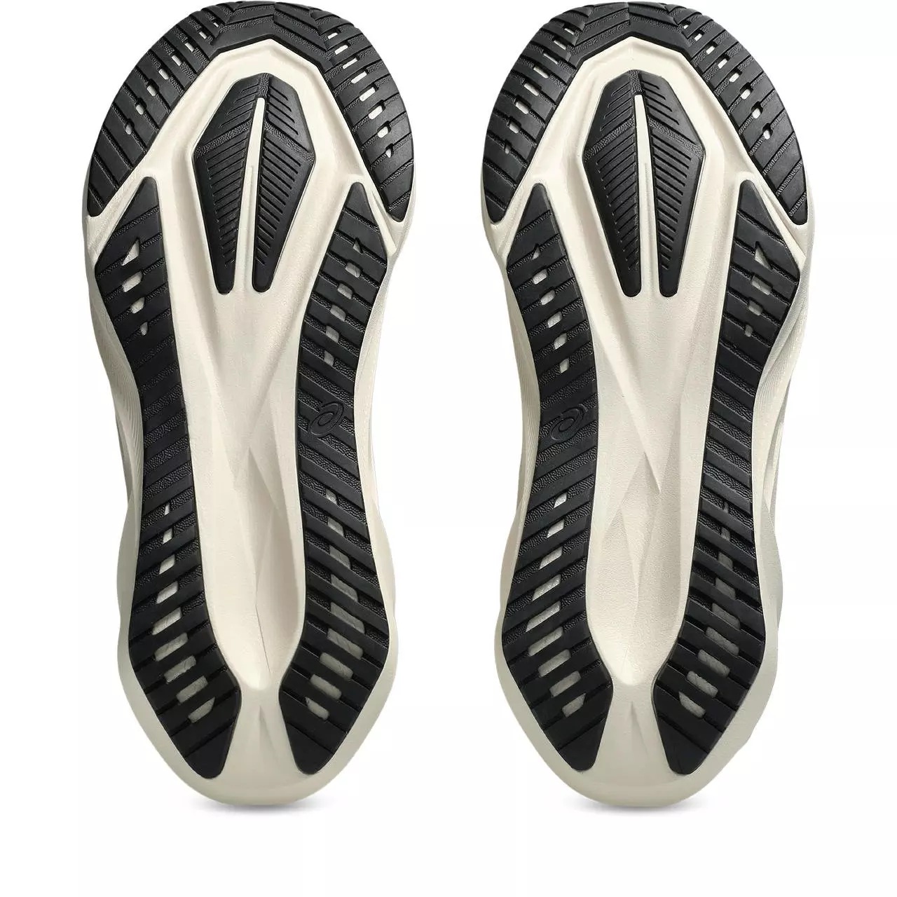 ASICS NOVABLAST 5 "Oatmeal/Black" Men's Running Shoe - TAN/BLACK