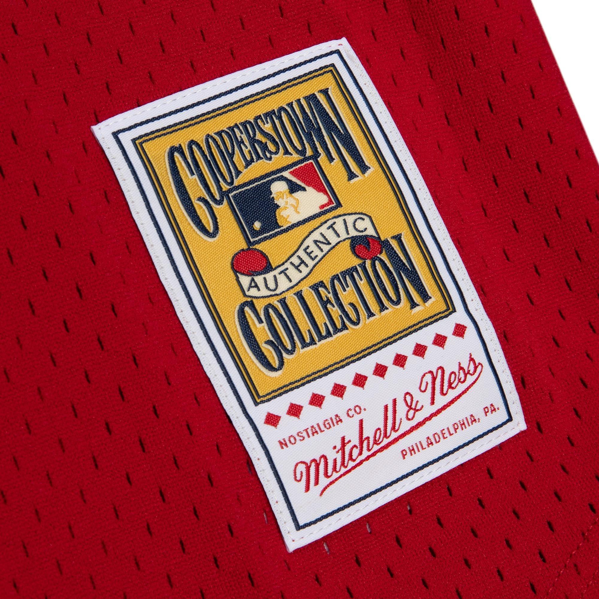 Mitchell & Ness Men's St. Louis Cardinals Ozzie Smith Batting Practice Jersey-Red - RED Thumbnail View 4