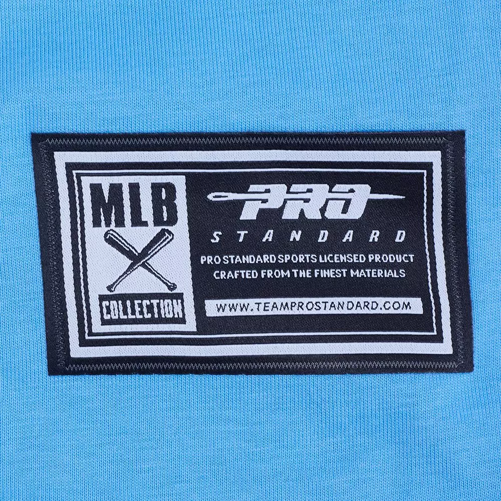 Pro Standard Men's St. Louis Cardinals License Plate Short Sleeve Tee-Light Blue - LT BLUE
