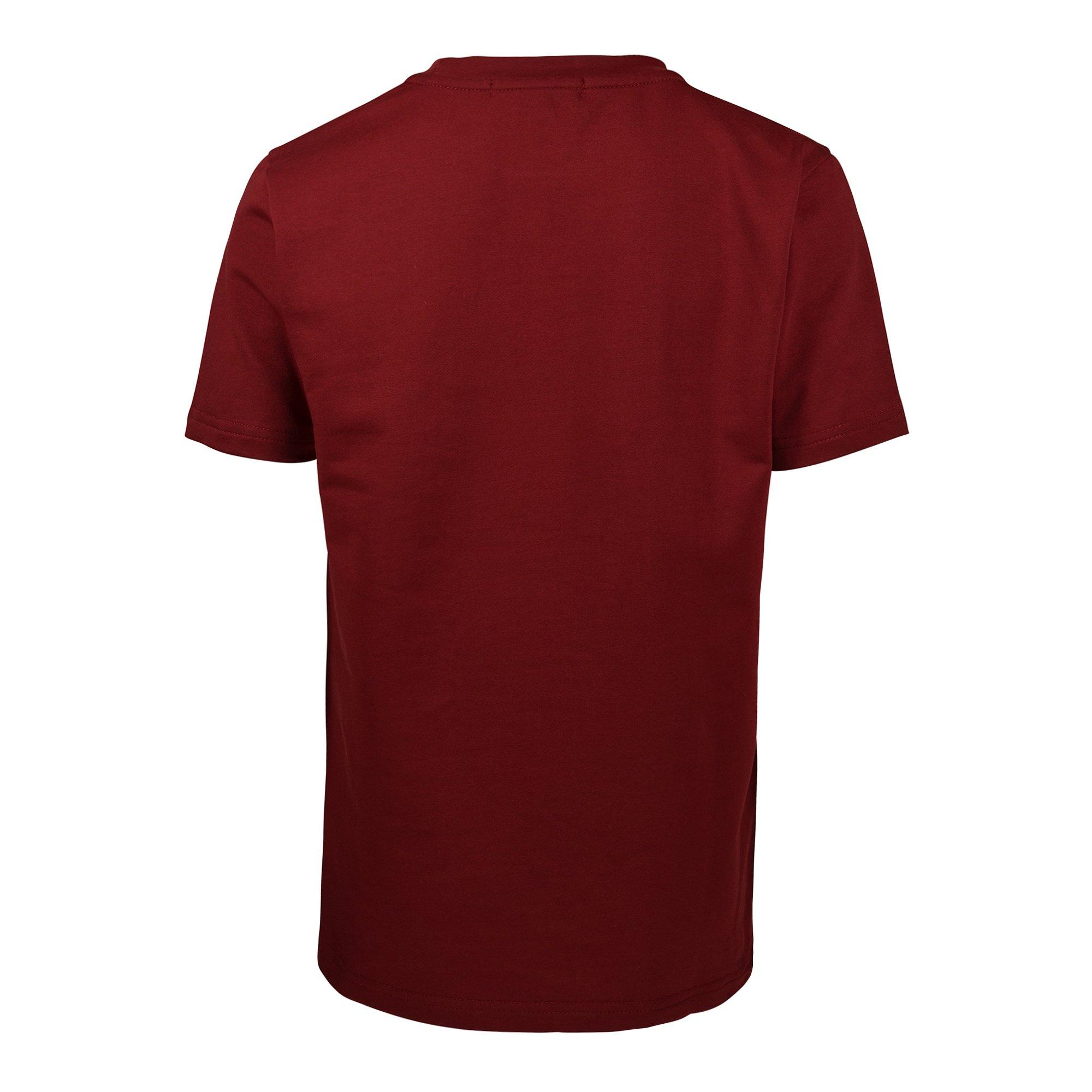 Streetz Iz Watchin Black Excellence Lion Big Boys' Tee