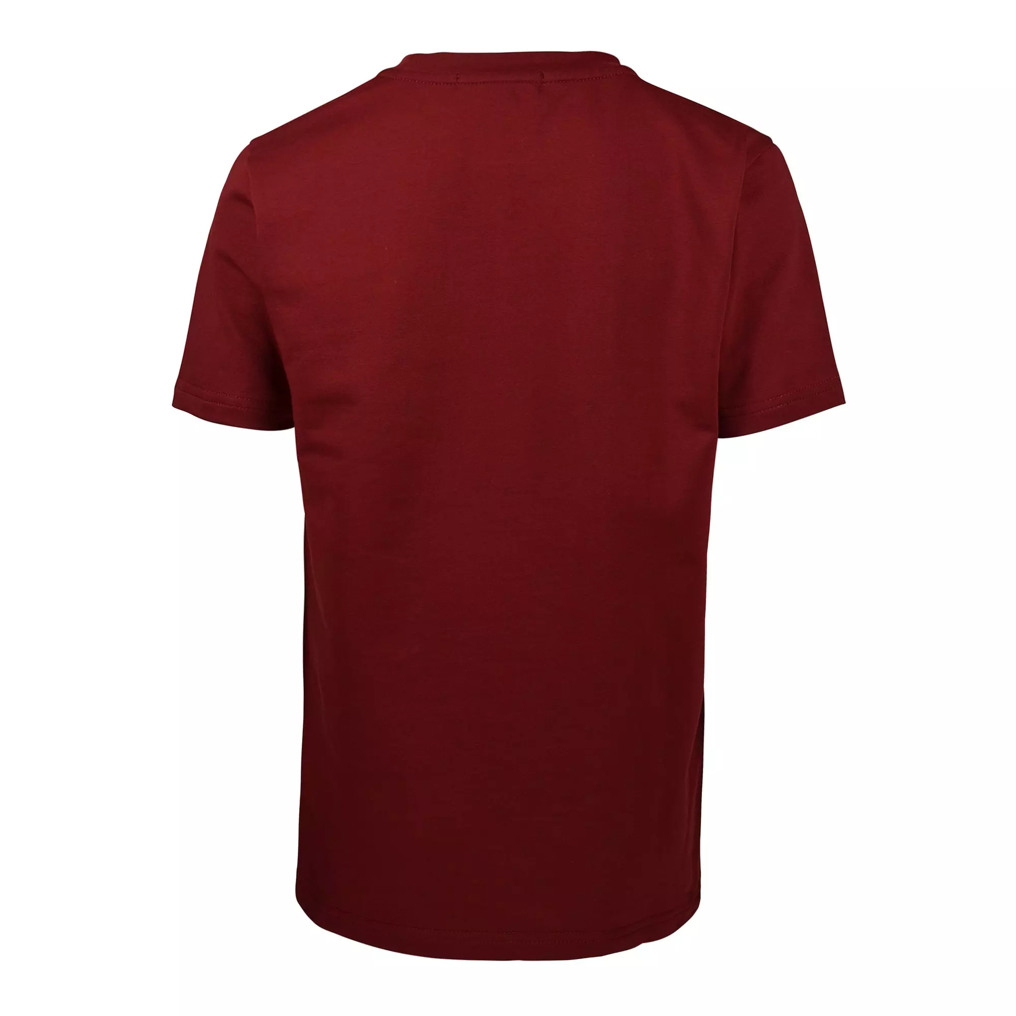 Streetz Iz Watchin Big Boys' Black Excellence Lion Tee - BURGUNDY