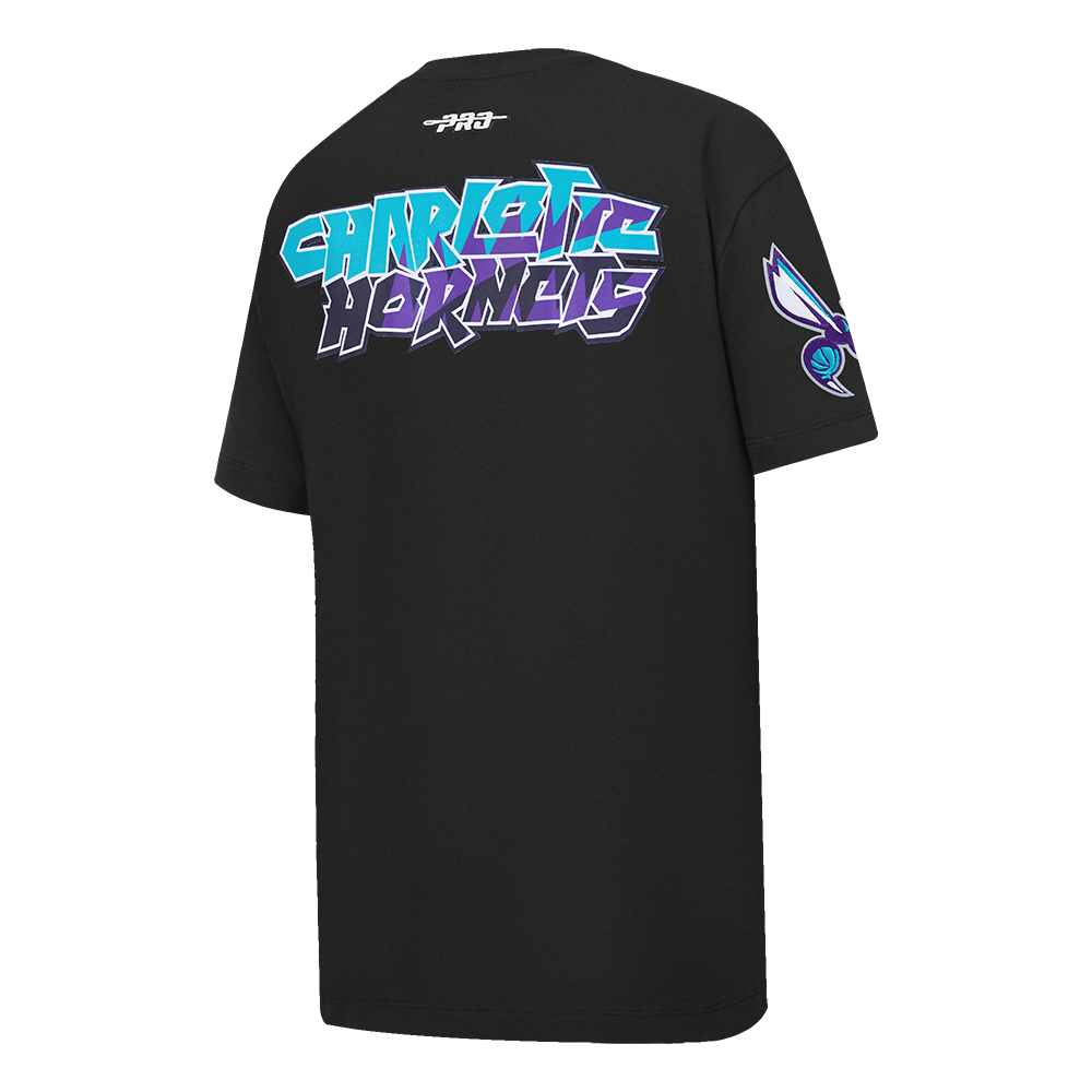 Pro Standard Charlotte Hornets Grape Aqua Youth Grape/Aqua Tee