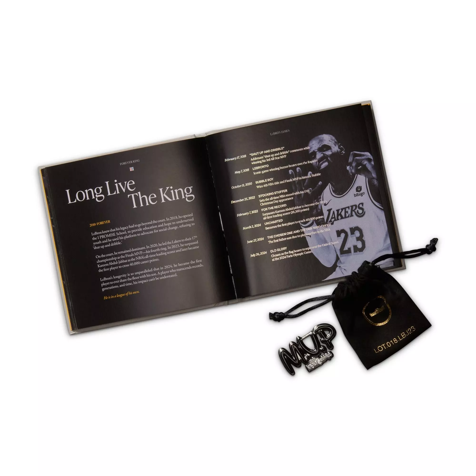 Nike LeBron XXIII "Bubble Boy" Men's Basketball Shoe - COOL GREY/METALLIC SILVER