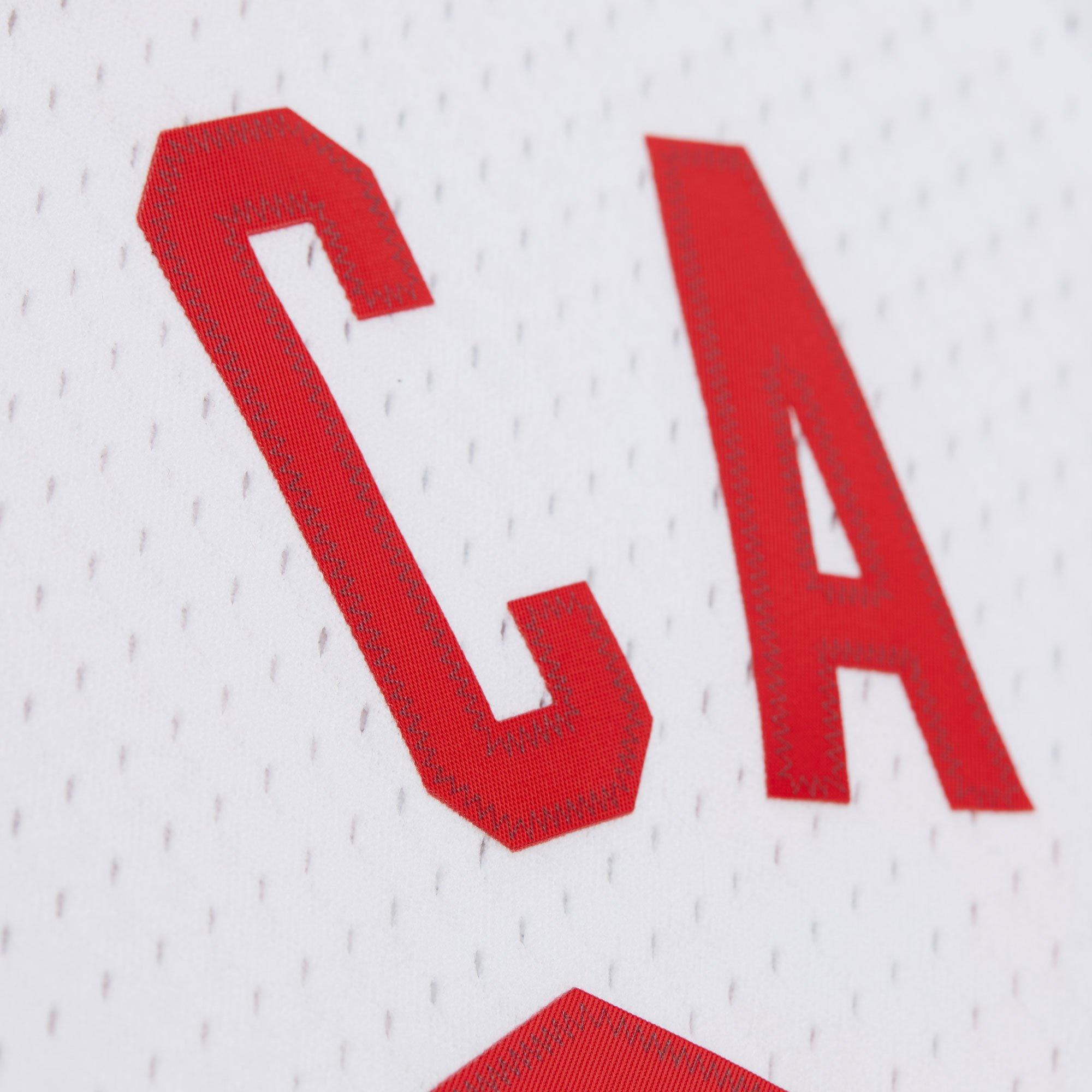 Mitchell & Ness Brooklyn Nets Vince Carter Jersey - White - WHITE Thumbnail View 5