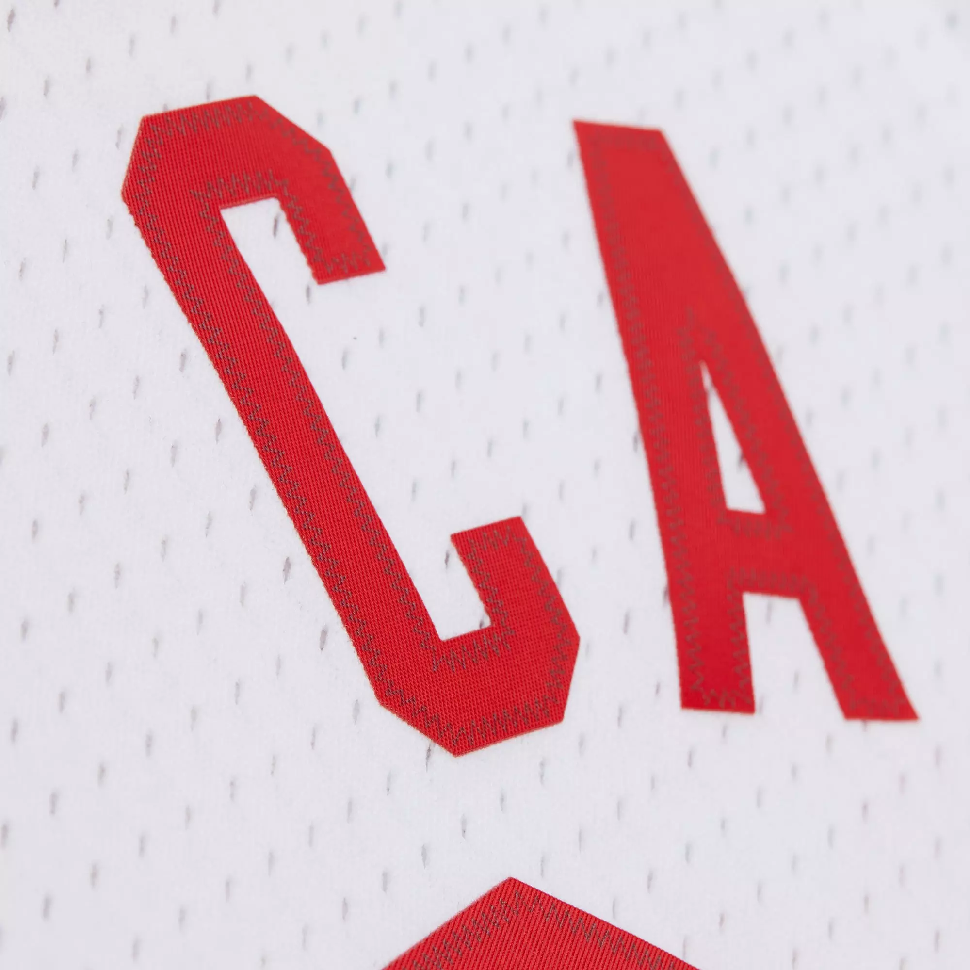 Mitchell & Ness Brooklyn Nets Vince Carter Jersey-White - WHITE