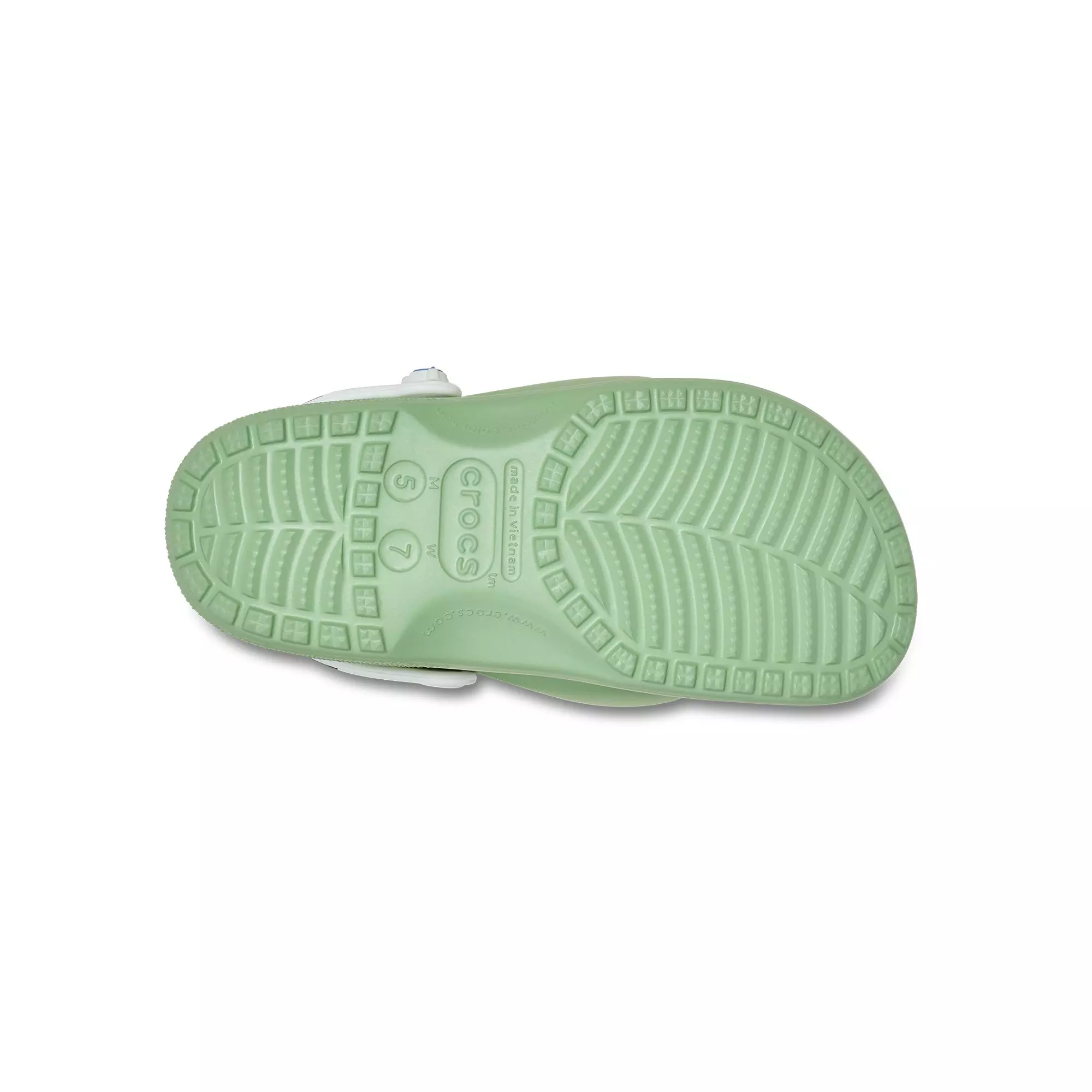 Crocs x SpongeBob SquarePants "Squidward" Unisex Classic Clog - GREEN/WHITE