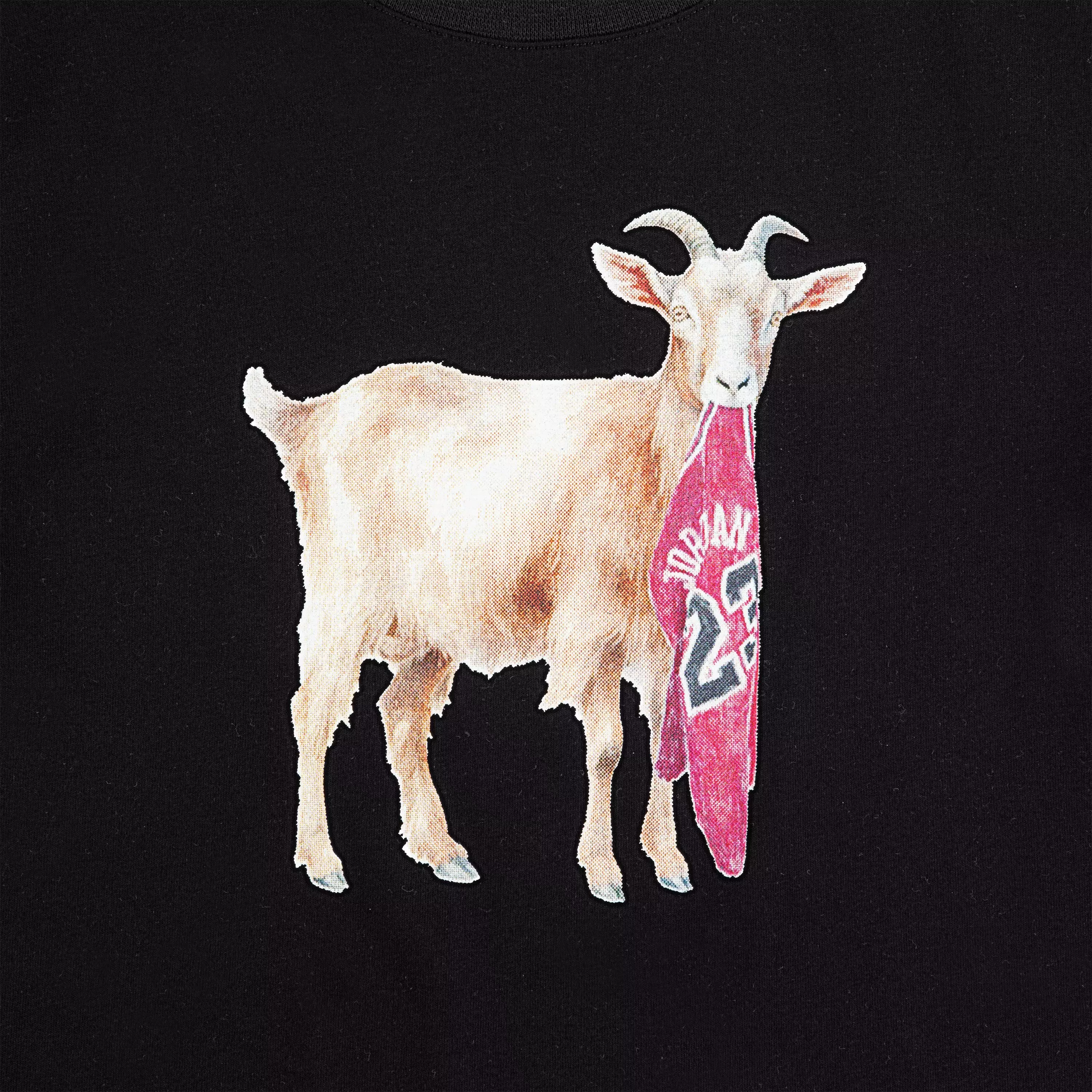 Jordan Big Boys' GOAT Tee - Black - BLACK/RED