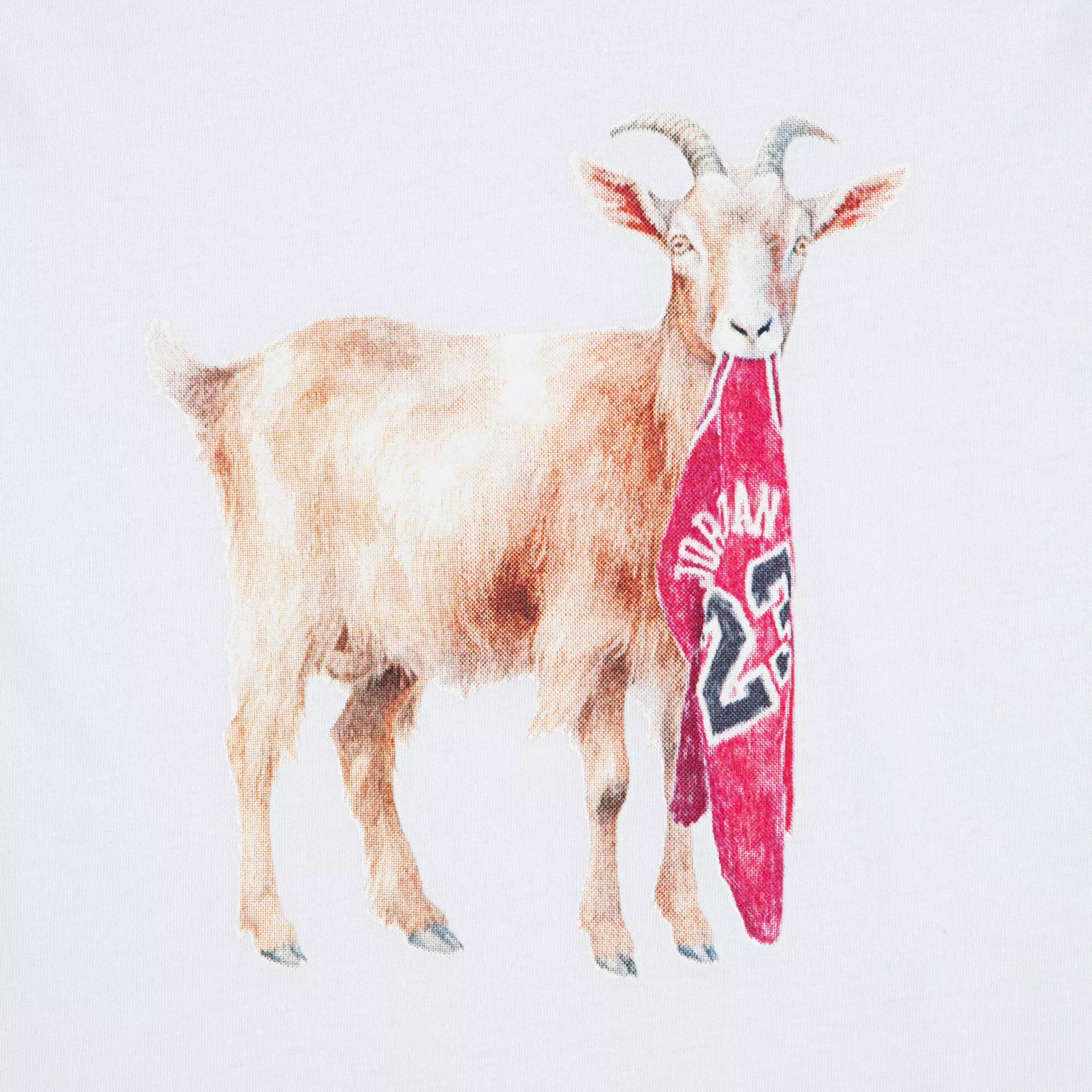 Jordan Big Boys' GOAT Tee - White - WHITE/RED