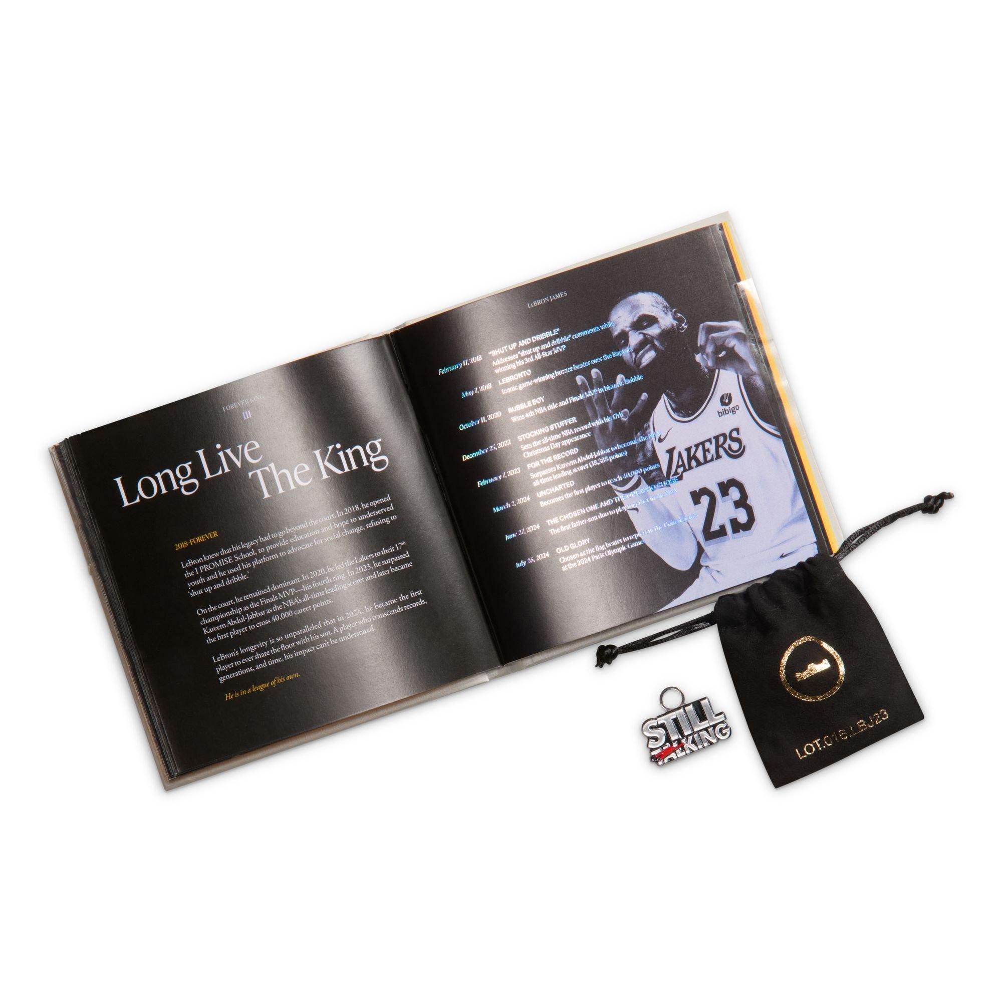 Nike LeBron XXIII "Shut Up And Dribble" Men's Basketball Shoe - COOL GREY/BLACK Thumbnail View 9