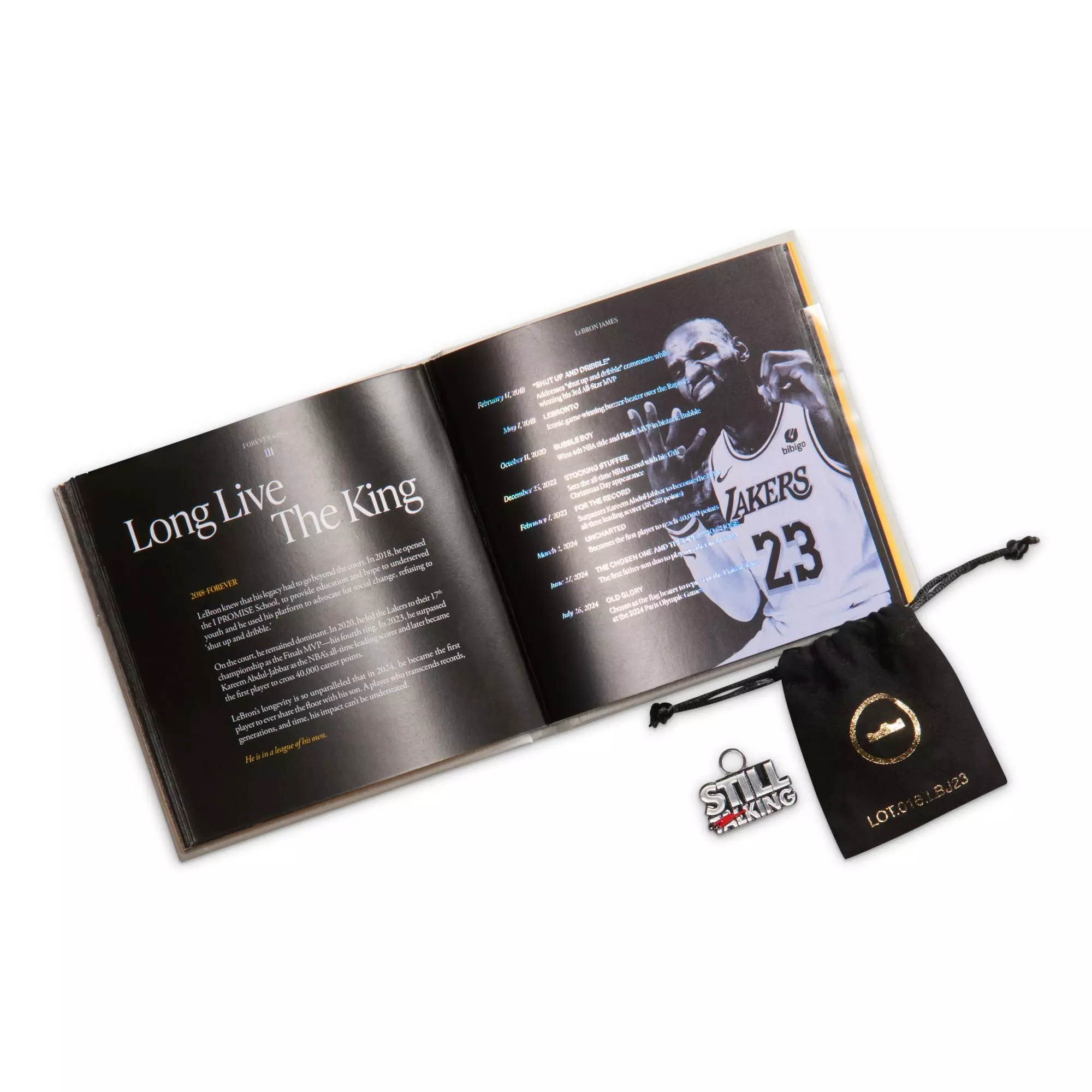 Nike LeBron XXIII "Shut Up And Dribble" Men's Basketball Shoe - COOL GREY/BLACK