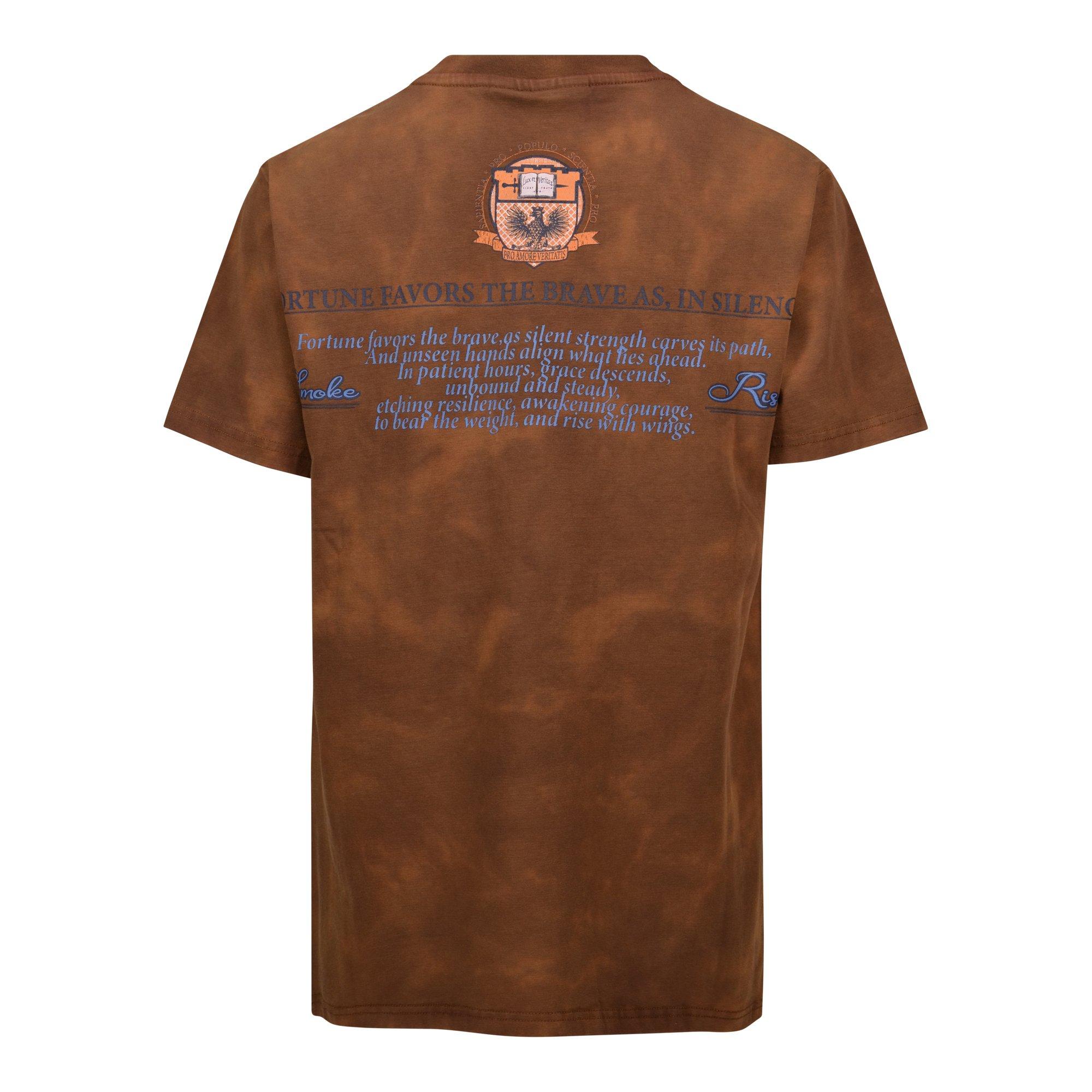 Smoke Rise Graphic Big Boys' Brown Tee
