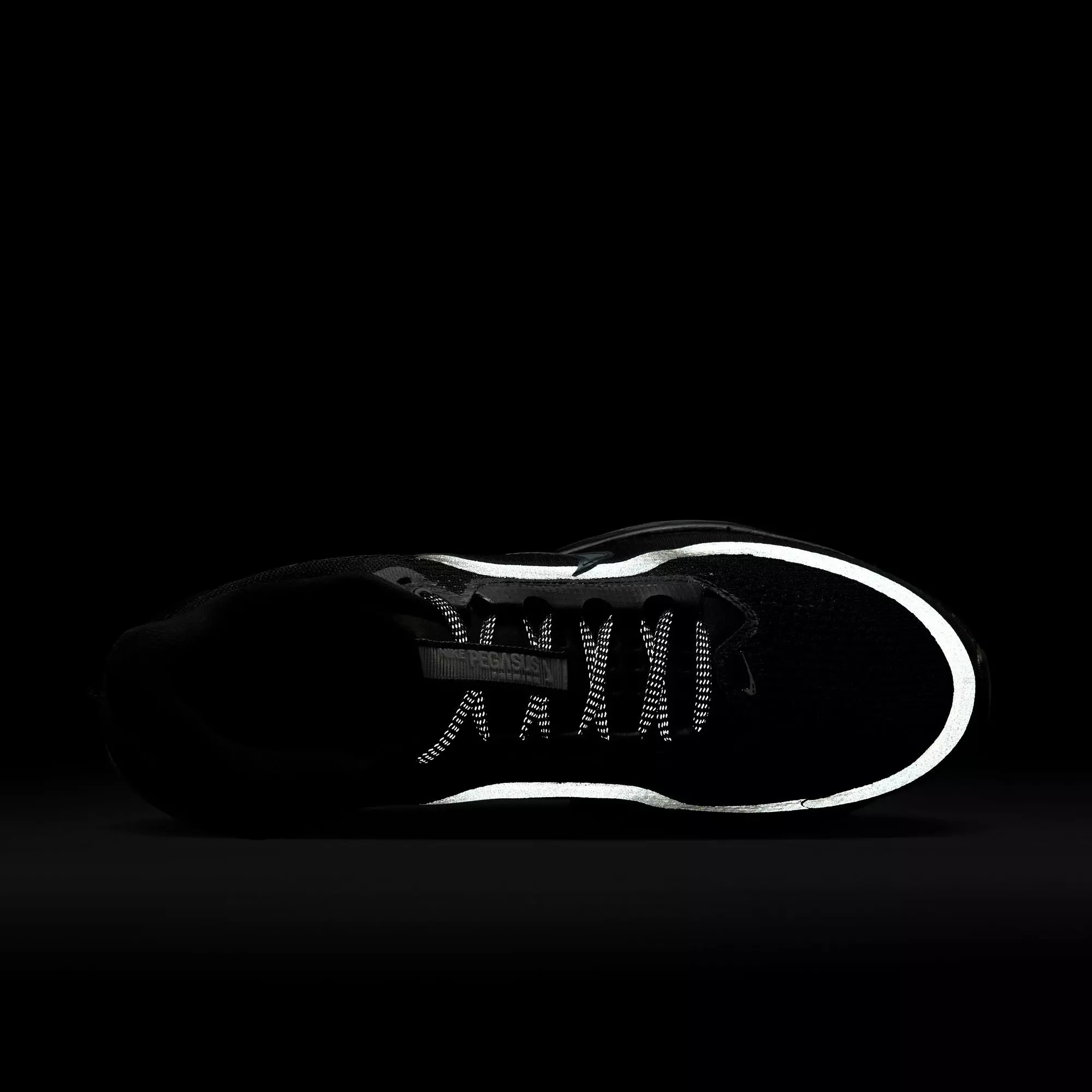 Nike Pegasus Premium "Black" Men's Running Shoe - BLACK