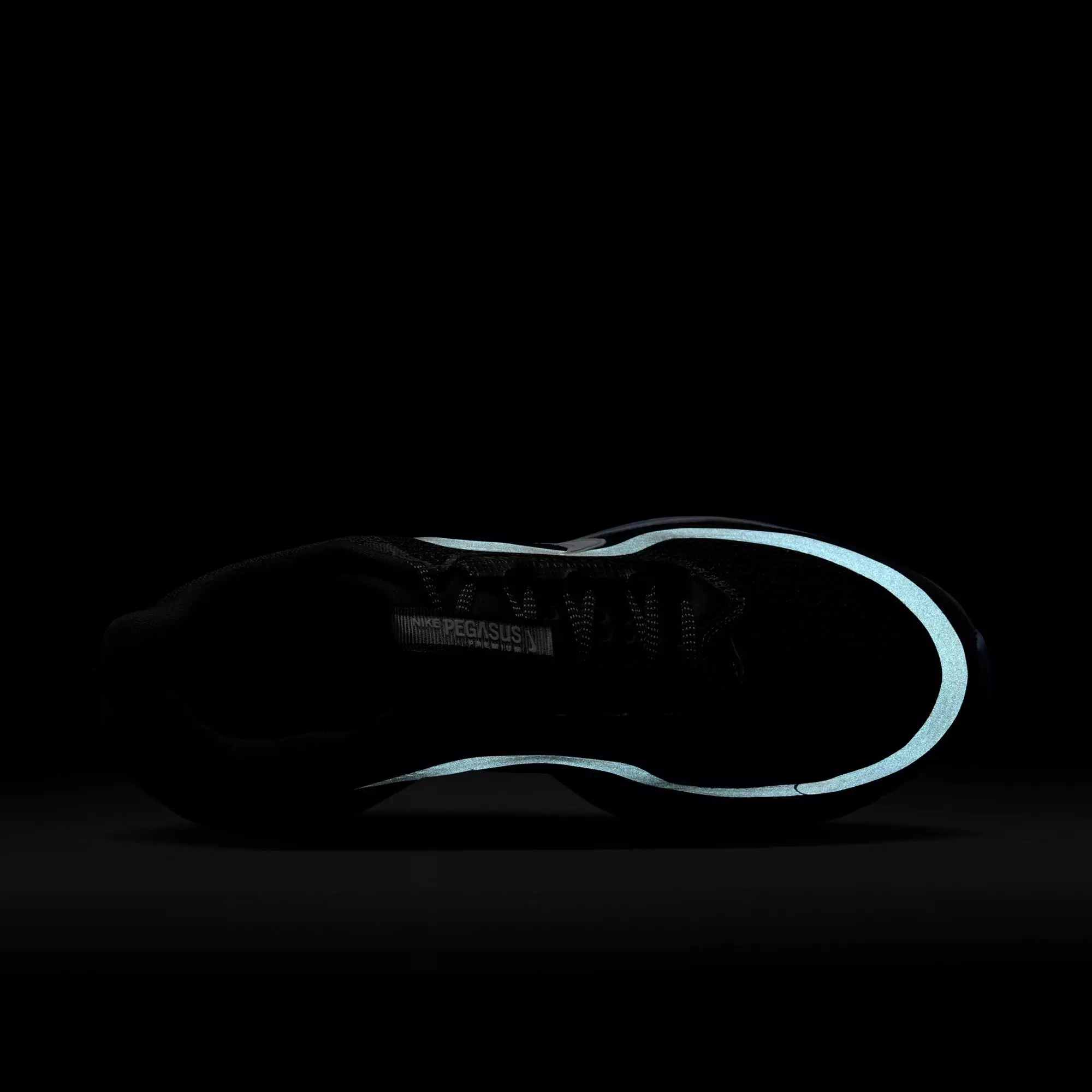 Nike Pegasus Premium "Anthracite" Men's Running Shoe - DK GREY