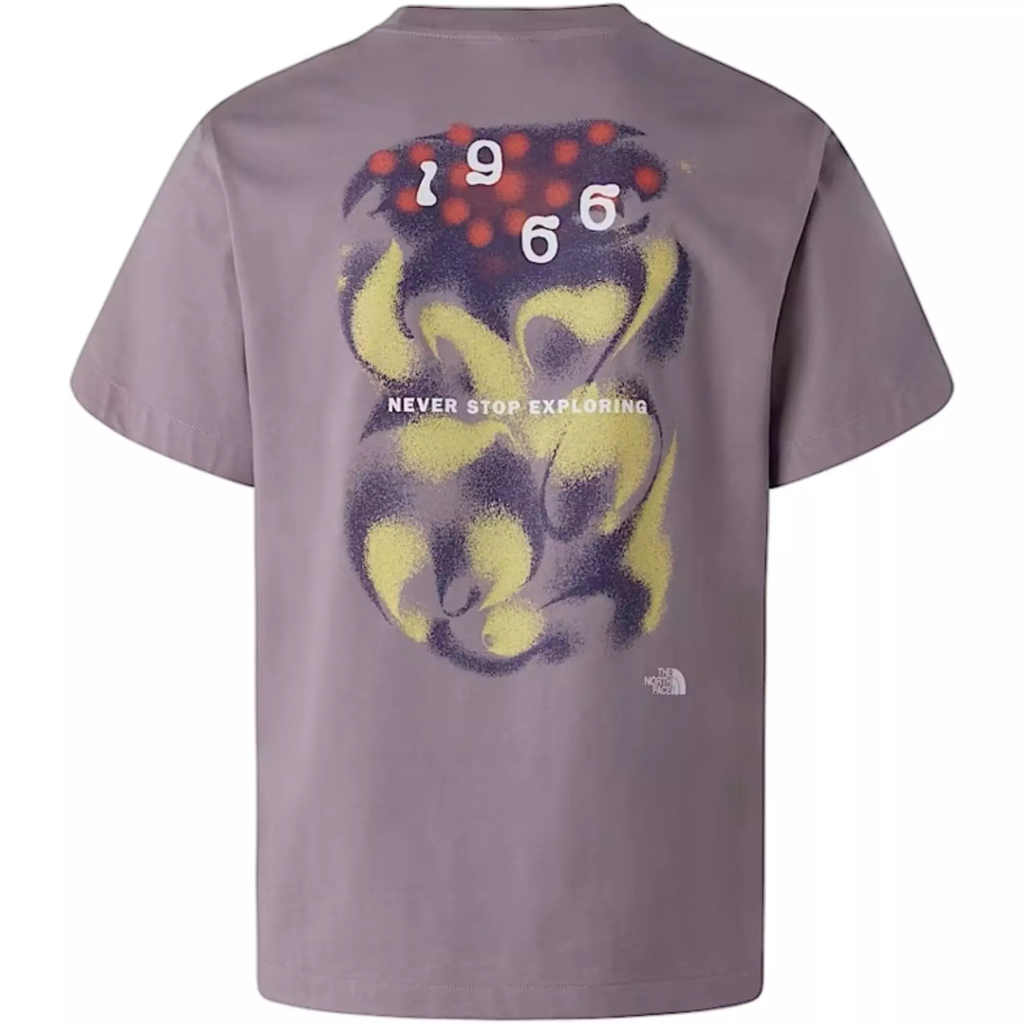 The North Face Men's Relaxed 1966 Motion Tee - Grey - GREY