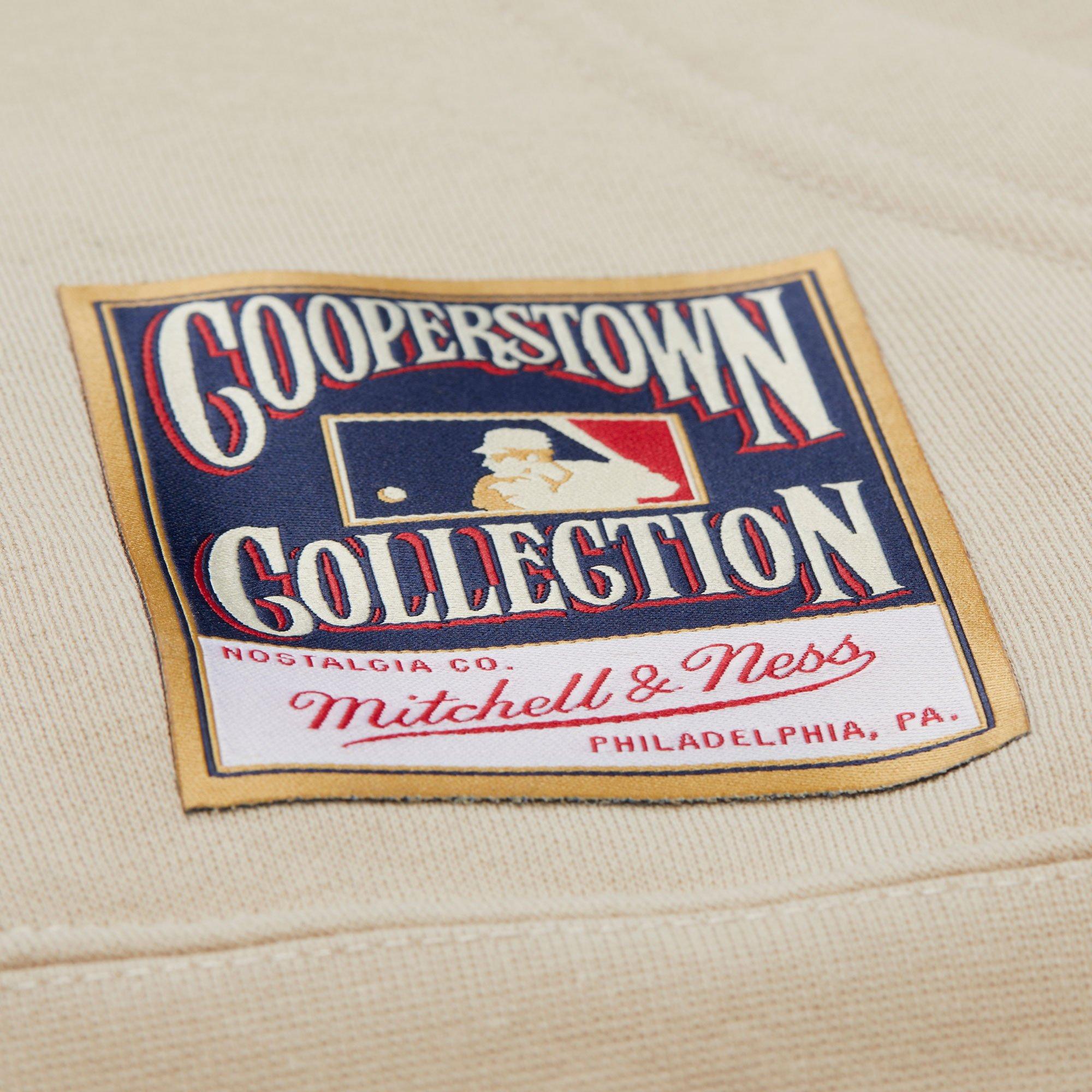 Mitchell & Ness Houston Astros Cityscape Fleece Hoodie - Cream - CREAM Thumbnail View 5