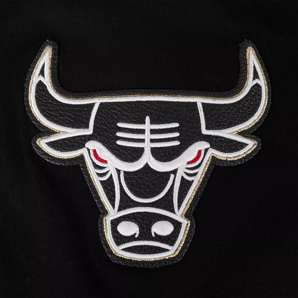 Pro Standard Chicago Bulls Met Gold Tee-Black/Gold - BLACK/GOLD