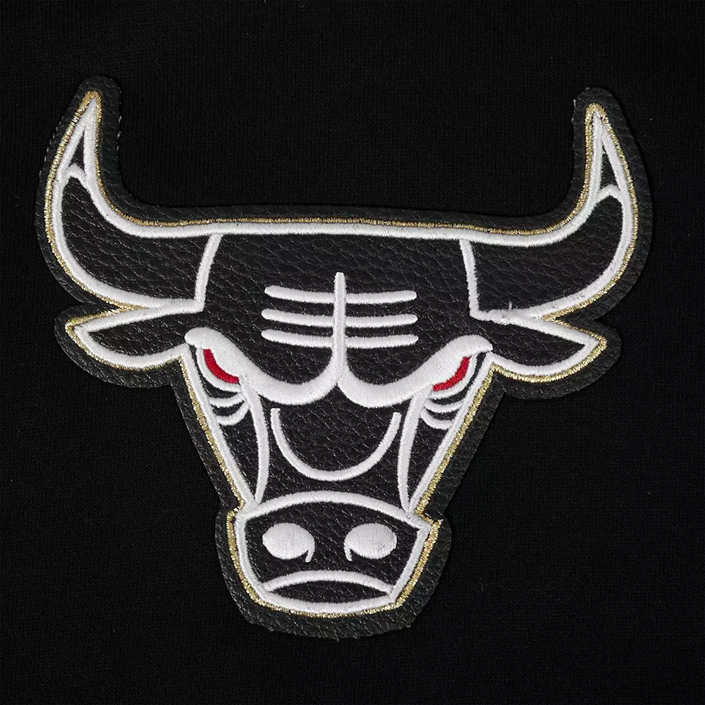 Pro Standard Men's Chicago Bulls Met Gold Hoodie-Black/Gold - BLACK/GOLD